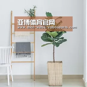 产品名称六