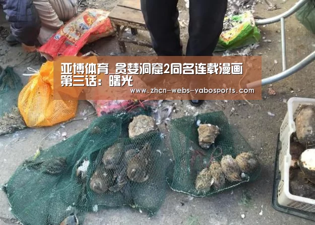 亚博体育